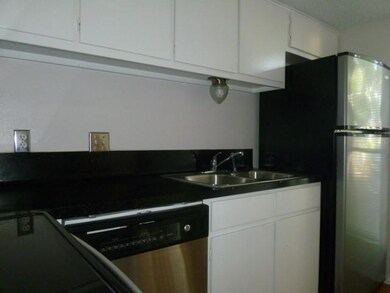 Kitchen with white cabinets, stainless steel dish