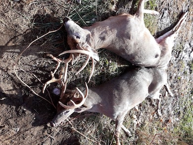 0 School House Rd, Wittenberg, WI 54499 - photo 7