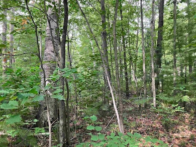 3642 Beech St, Beaverton, MI 48612 - photo 5