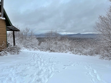 3383 I P, Morgan, VT 05853 - photo 3