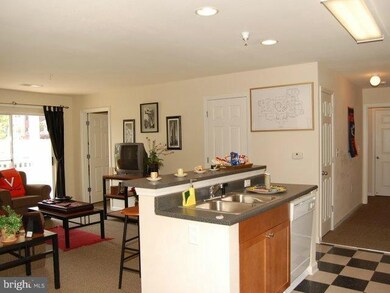 142 Yellowstone Dr unit 208, Charlottesville, VA 22903 - photo 3