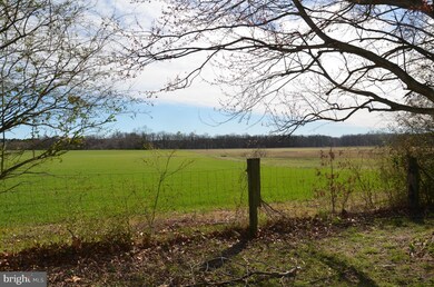 3878 Harrison Ct, Trappe, MD 21673 - photo 3