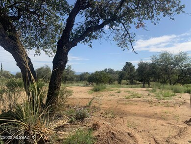 TBD N Viento Dr unit 1.03 Ac, Oracle, AZ 85623 - photo 5