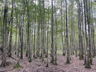 0 Western Front Rd, Gu-Win, AL 35563 - photo 3