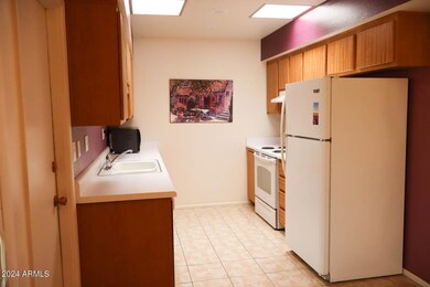 14238 N Newcastle Dr, Sun City, AZ 85351 - photo 3