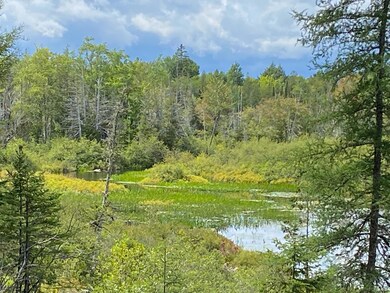 IMG_4154