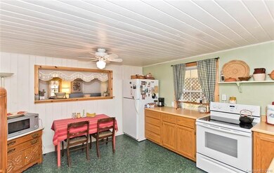 Big bright kitchen