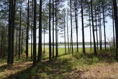 3729 Archies Way, Powhatan, VA 23139 - photo 6