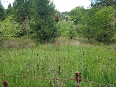 0 Willis Creek Rd unit 23389927, Winston, OR 97496 - photo 3