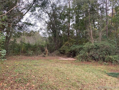 139 Brookfield Rd, Ozark, AL 36360 - photo 4