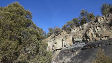 IMG_5799-1024x576