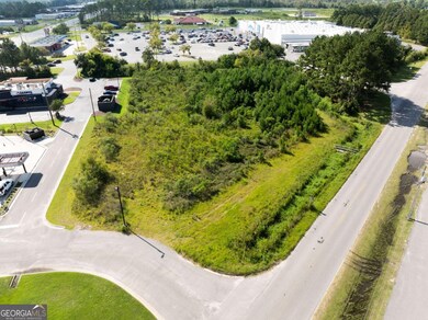 0 Golden Isle W unit 10595385, Baxley, GA 31513 - photo 3