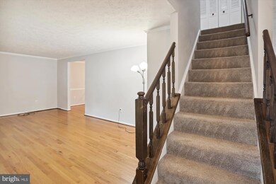 1125 Windmill Ln, Silver Spring, MD 20905 - photo 3