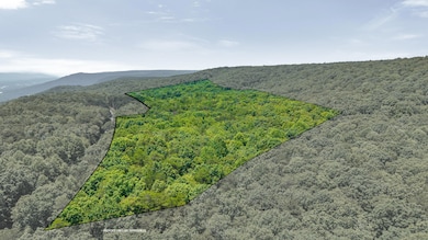 41-acre Windridge dr-5