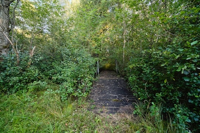 14977 9 Mile Rd, Kaleva, MI 49645 - photo 7