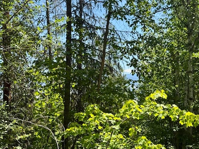 Timber