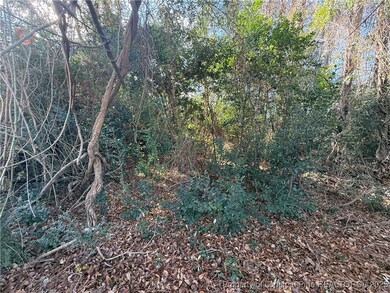 0 Blake Drive and Off Highway 401 Dr, Raeford, NC 28376 - photo 4