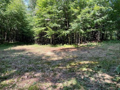 11-02 Old Stagecoach Rd unit Lot 11.02, Hopkinton, NH 03229 - photo 4