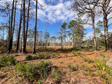 Vacant W Royal Oak Dr, Perry, FL 32348 - photo 5