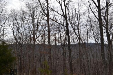 DSC_0241 (640x427).jpg