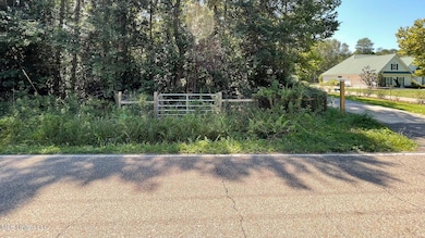 0 S Swan Rd unit 4123808, Gulfport, MS 39503 - photo 2