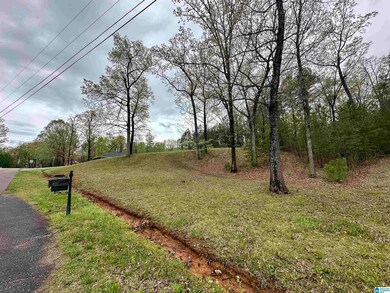 0 Jones Dr unit 15 21414159, Sylacauga, AL 35151 - photo 3