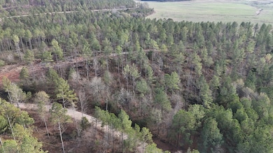 County Road 176, Piedmont, AL 36272 - photo 2