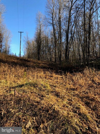 0 Swaim Ln unit WVMO108558, Berkeley Springs, WV 25411 - photo 7