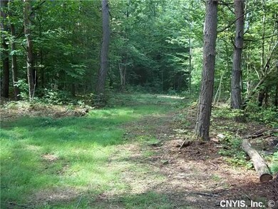 Land. Great spot to build camp or camping area, it