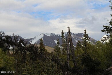 IMG_5037_3