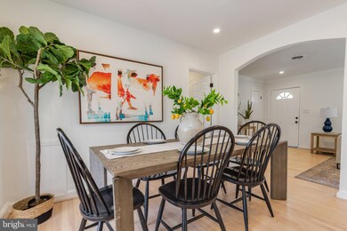 4629 Barnum Ln, Alexandria, VA 22312 - photo 3