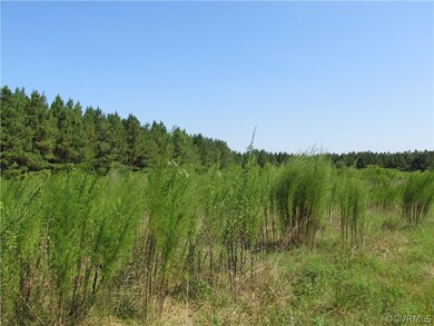 38 Beagle Chase, Prince George, VA 23842 - photo 2