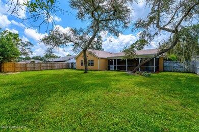 Large Backyard