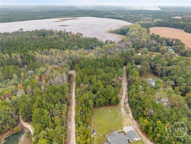 0 Clyo Shawnee Rd unit SA342552, Springfield, GA 31329 - photo 4