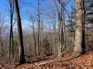 LOT 274 Heron Ct, Ellijay, GA 30540 - photo 2