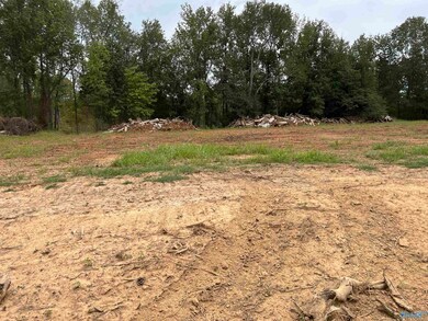 21302 Holland Rd, Athens, AL 35614 - photo 6