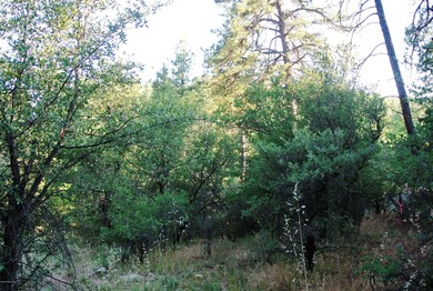 637 Aspen