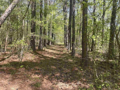 View of landscape featuring a view of trees