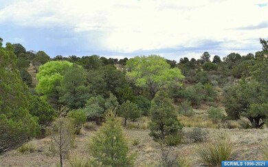 XX Shadow Mountain Rd, Silver City, NM 88061 - photo 2