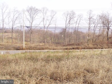 317 Wildflower Dr, East Earl, PA 17519 - photo 6