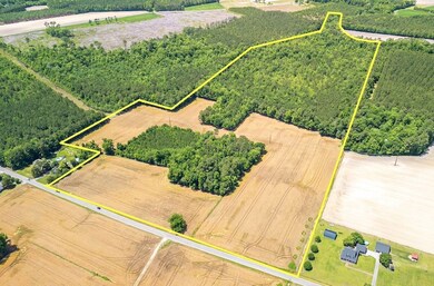 Tbd Hwy 19 unit LotWP001, Nichols, SC 29581 - photo 2