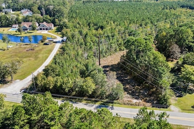 Bird's eye view of a nearby body of water and a forest