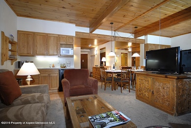 301 E Hyman Ave unit 106 (Wks. 4,23,36), Aspen, CO 81611 - photo 6