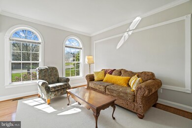 801 Sterling Dr, Winchester, VA 22601 - photo 7