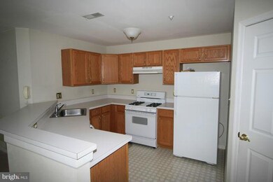 128 Wishing Star Ct unit 2A, Hagerstown, MD 21740 - photo 5