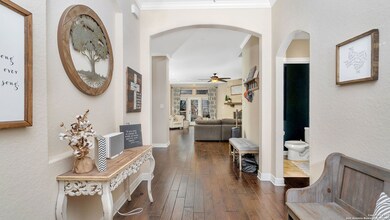 17816 Oxford Mount, Helotes, TX 78023 - photo 5