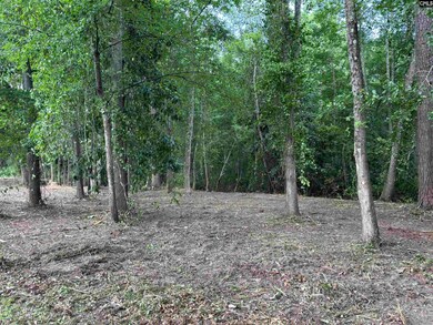 25 Crickle Creek Ln, Camden, SC 29020 - photo 5