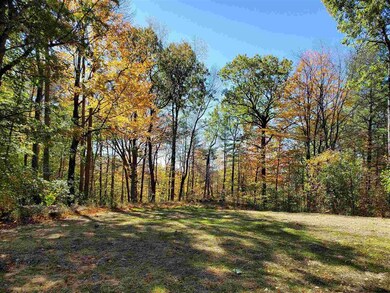 147 Shirley Cir, Townshend, VT 05353 - photo 4