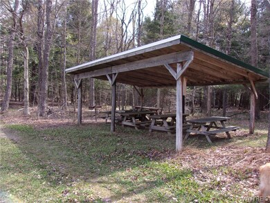 0 Scotch Blooming Hill Rd unit B1332977, Freedom, NY 14065 - photo 7