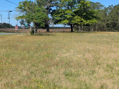 Lot View